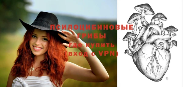 хмурый Горно-Алтайск