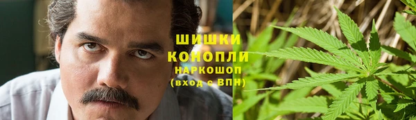 шишки Вязники