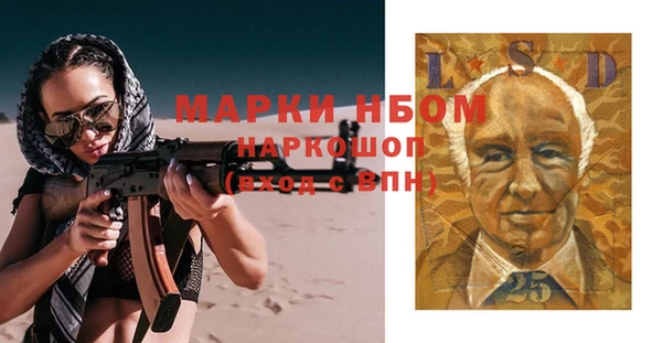 хмурый Горно-Алтайск