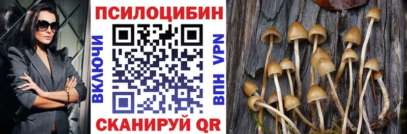 Псилоцибиновые грибы Psilocybine cubensis  Краснотурьинск 